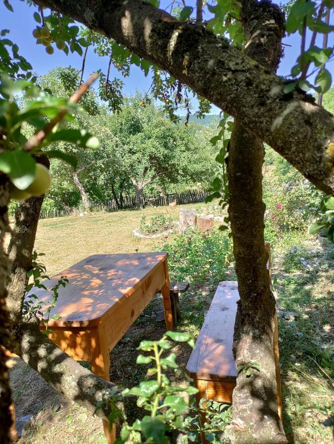 Village House Mestia Exterior photo